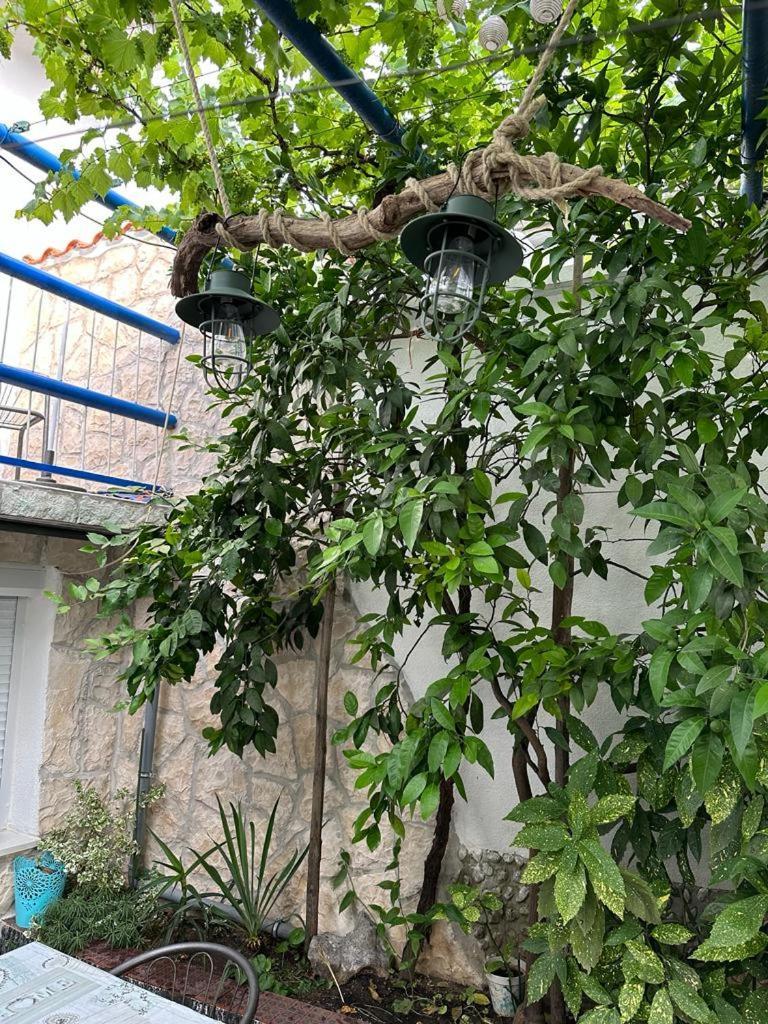 Vila Katica Bribir  Exterior foto